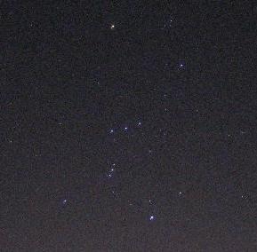 Orion